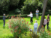 Click here for a larger image